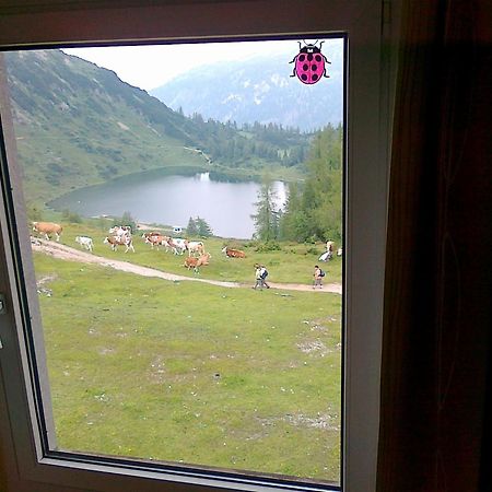 Hotel Berghof Tauplitzalm Εξωτερικό φωτογραφία