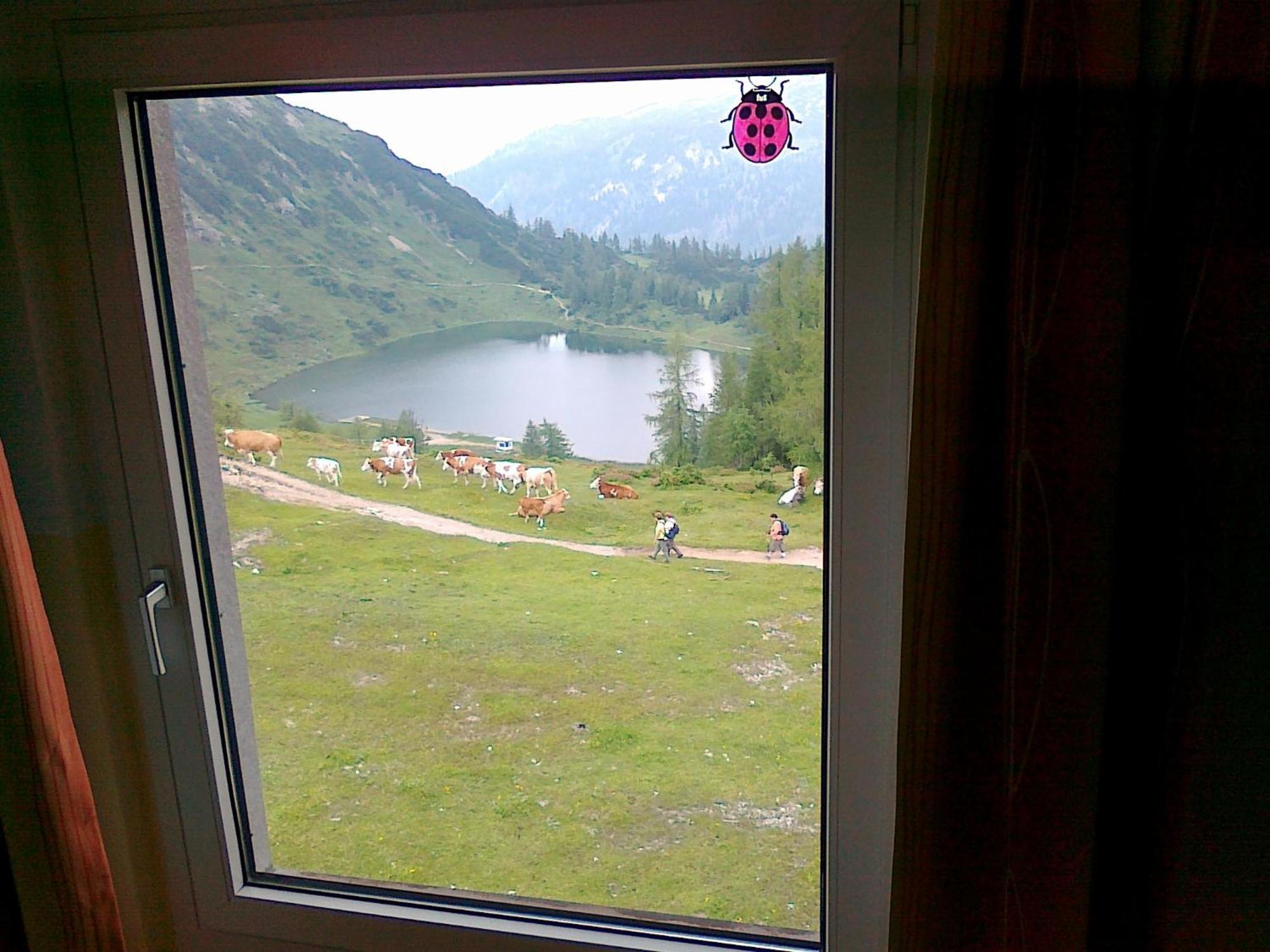 Hotel Berghof Tauplitzalm Εξωτερικό φωτογραφία