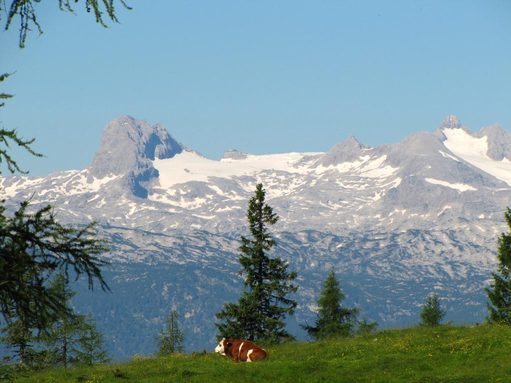 Hotel Berghof Tauplitzalm Εξωτερικό φωτογραφία