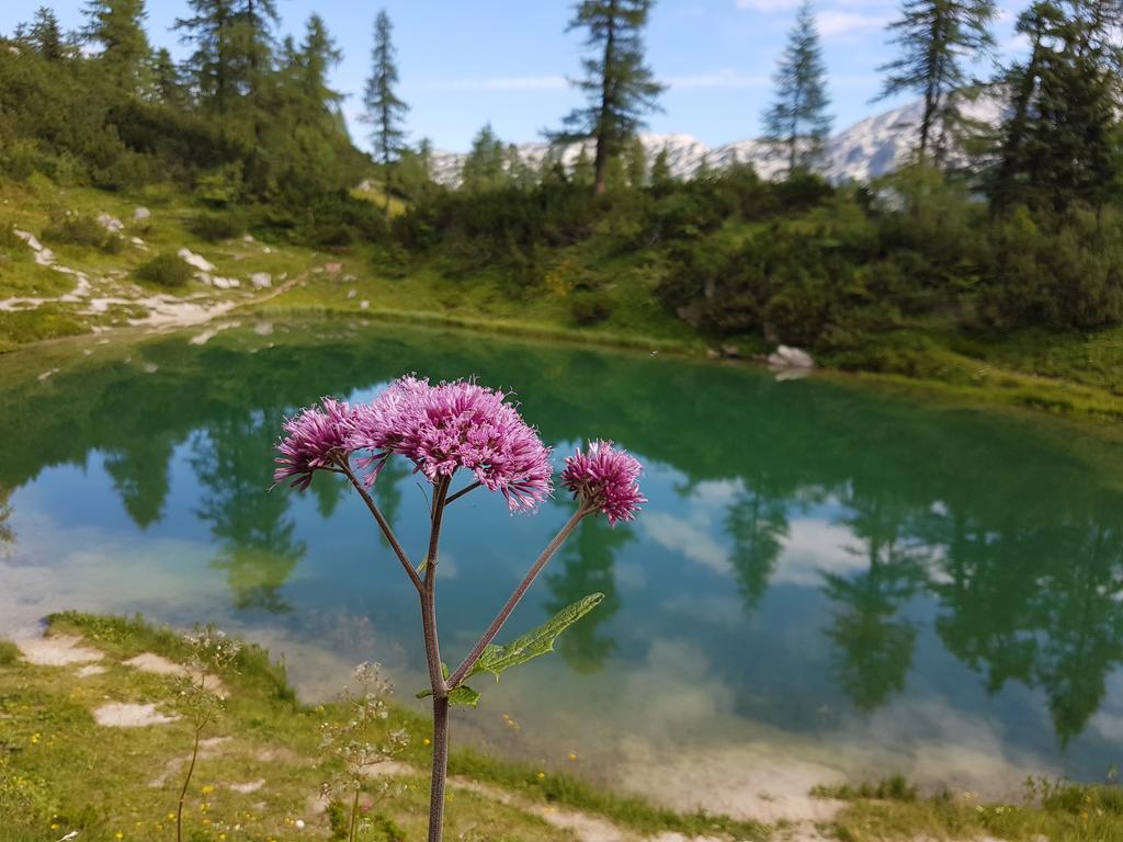 Hotel Berghof Tauplitzalm Εξωτερικό φωτογραφία