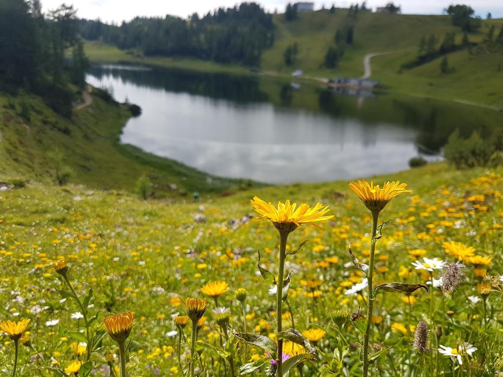 Hotel Berghof Tauplitzalm Εξωτερικό φωτογραφία